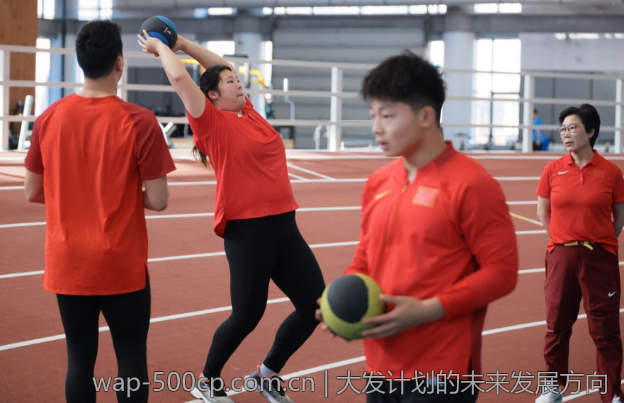 大发计划的未来发展方向